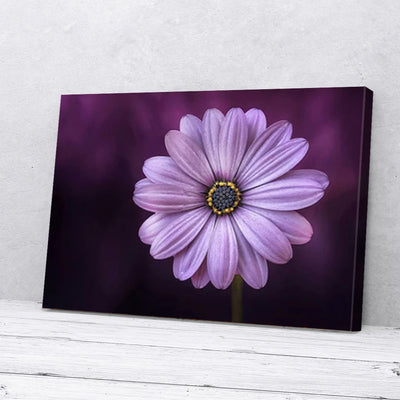 Purple Bloom Flower Canvas Prints