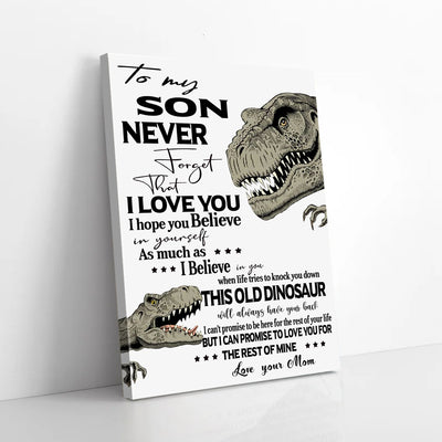 To My Son Mom Dinosaur Canvas Prints