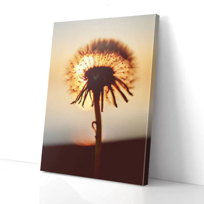 Sunset Dandelion Canvas Prints