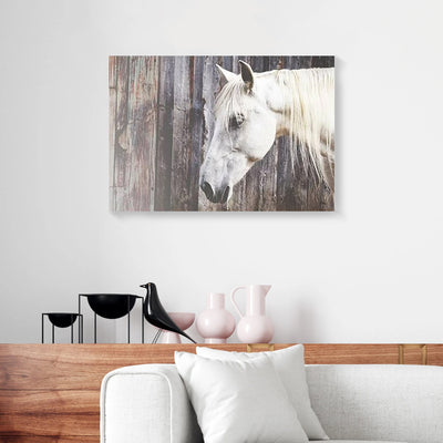 White Horse Brown Wood Frame Canvas Prints