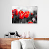 Red Tulips Canvas Prints