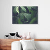 Water Dripping Plant Tree Wonderful Natural Canvas Prints
