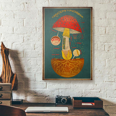 The Anatomy Of A Mushroom Canvas Prints