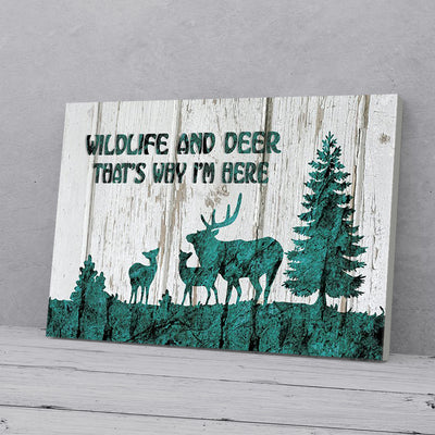Wildlife Deer Canvas Prints